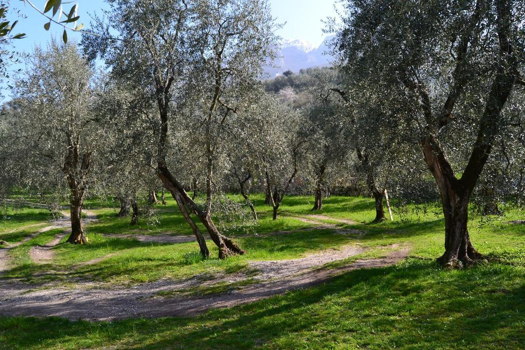 Casa Valentina Daire Brenzone sul Garda Oda fotoğraf