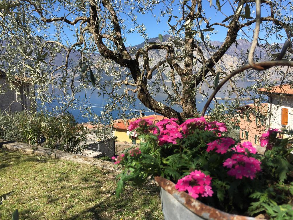 Casa Valentina Daire Brenzone sul Garda Dış mekan fotoğraf